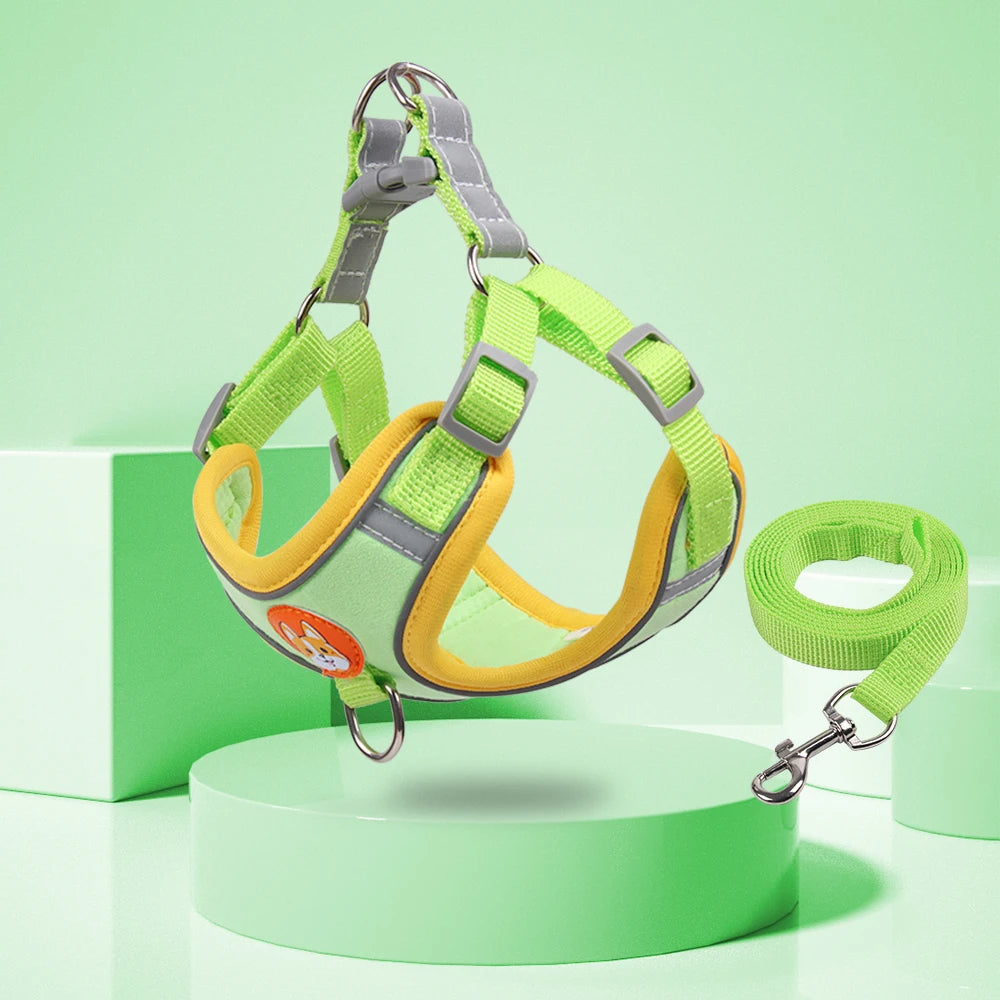 No Pull Harness and Leash set For Small Dogs