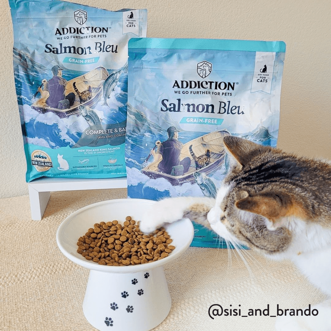 Salmon Bleu Dry Cat Food