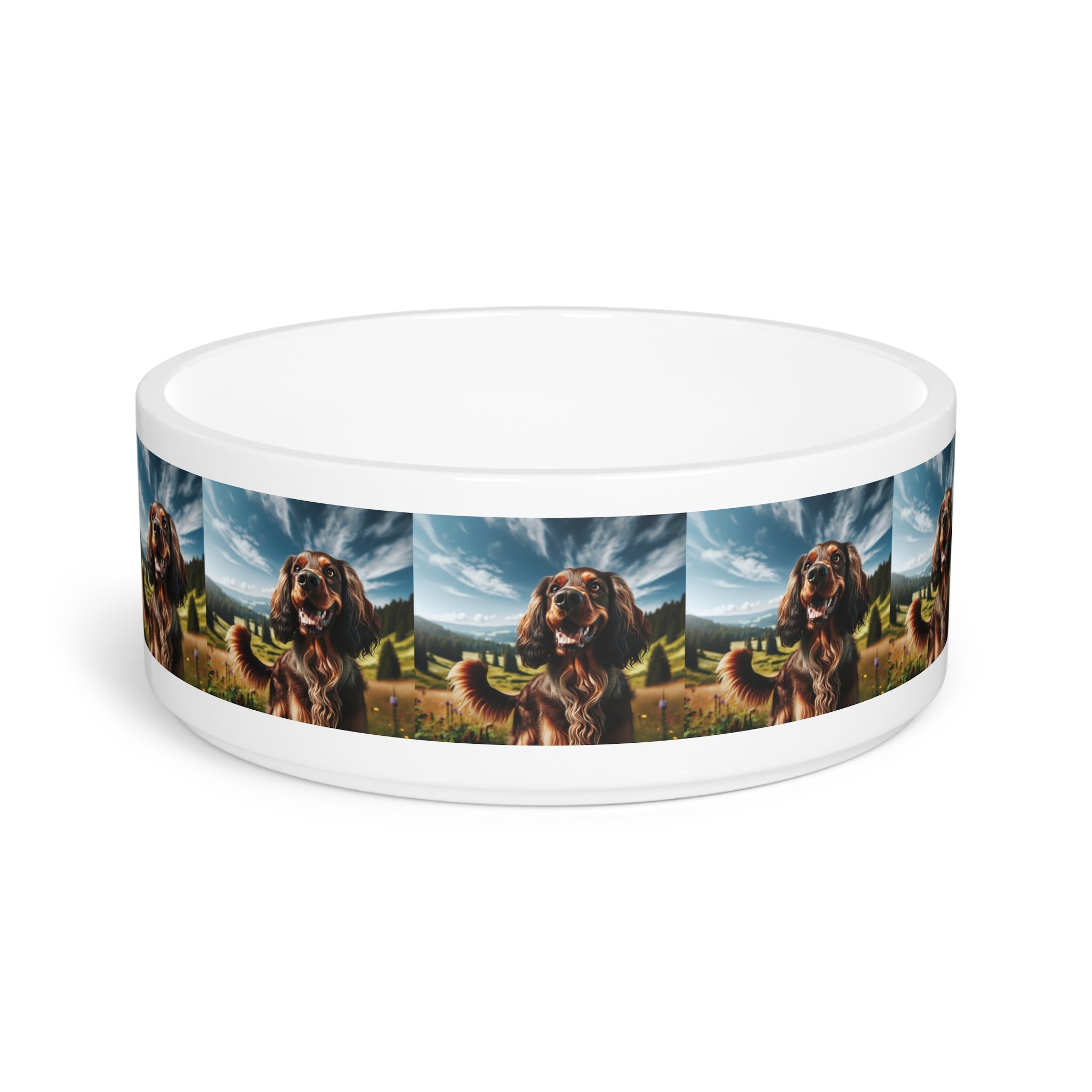 Ceramic Pet Bowl – 16 oz Dog Feeding Bowl