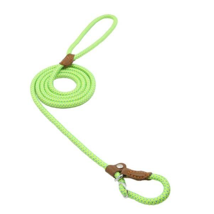 Nylon Pup Set β Premium Dog Collar & Leash | Reinforced Stitching, Soft Adjustable Fit & Modern Style