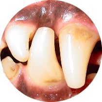Gel with Wild Salmon Oil. As Seen On TV Pet Dental, Don&