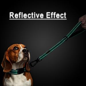 PLUTUS PET Short Training Dog Leash with Padded Handle for Medium Large Dogs,18 Inch Heavy Duty Strong Traffic Leash with Carabiner Clip for Climbing Walking or Guiding Blind(18”,Teal)