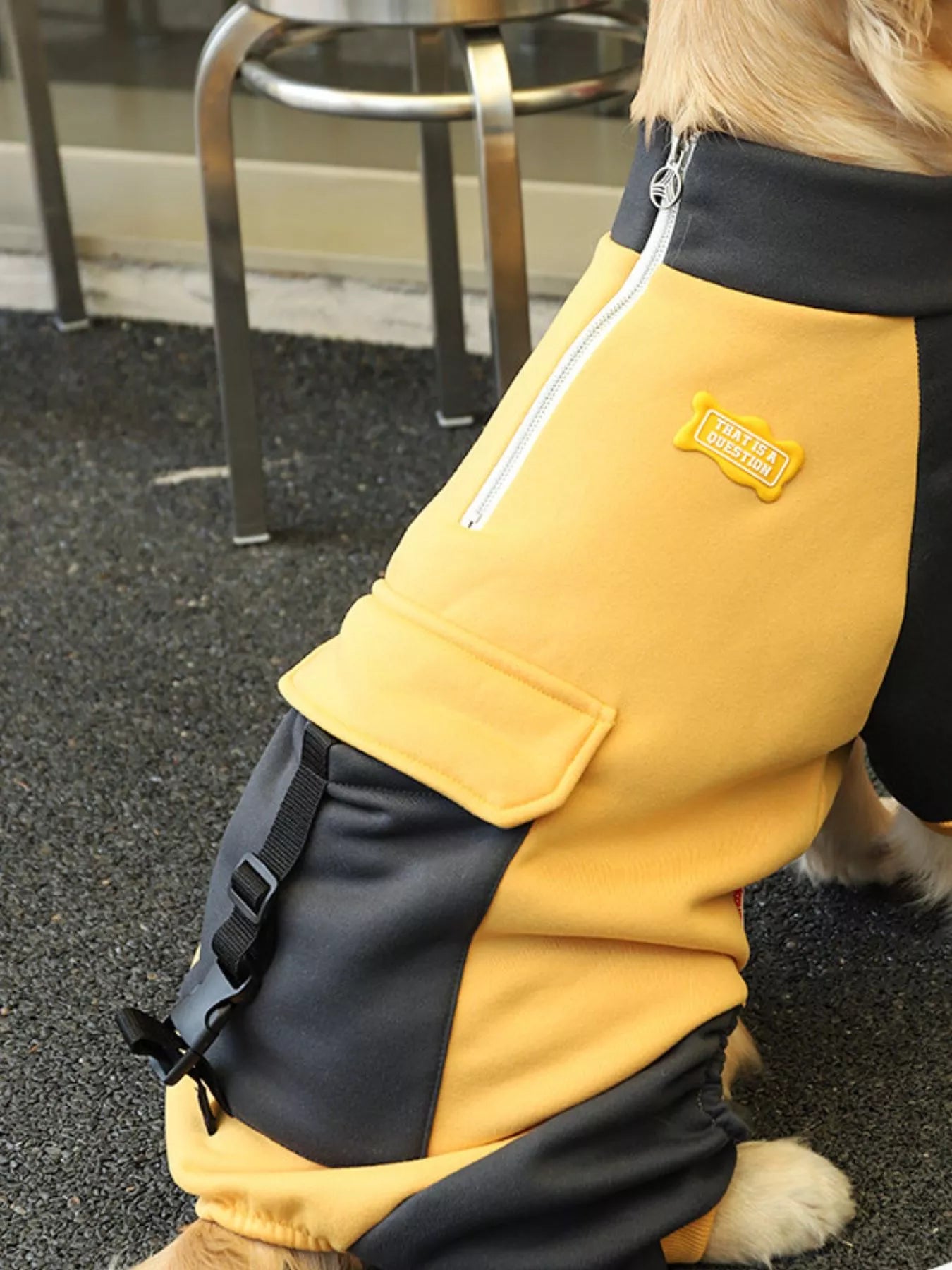 Two-Tone Dog Jacket
