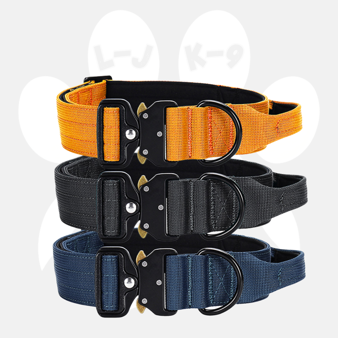 Stasia Cat Harness & Leash Set