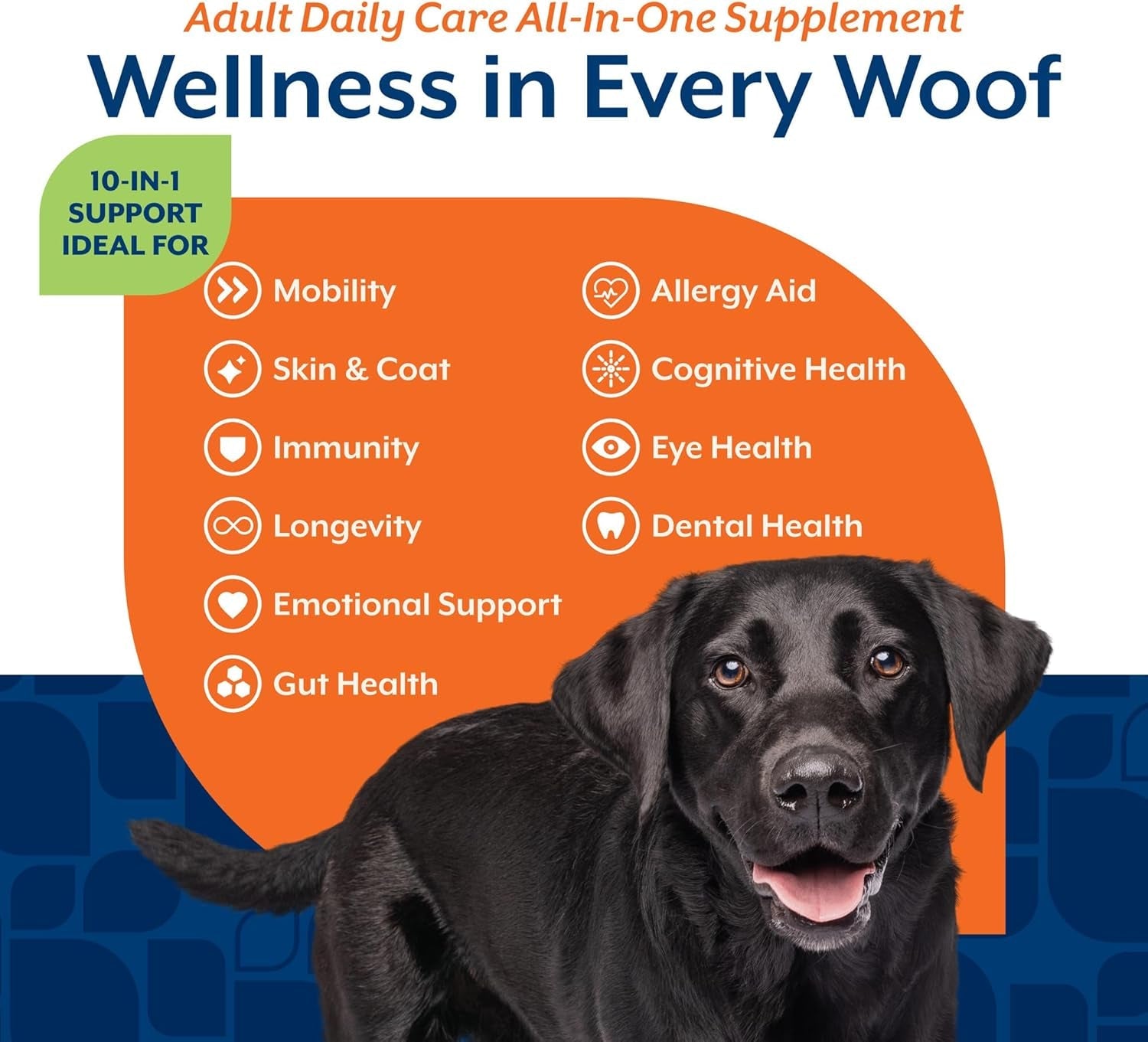 Dog Multivitamin Soft Chews 10 in 1 Joint Skin Digestion Immune 60ct