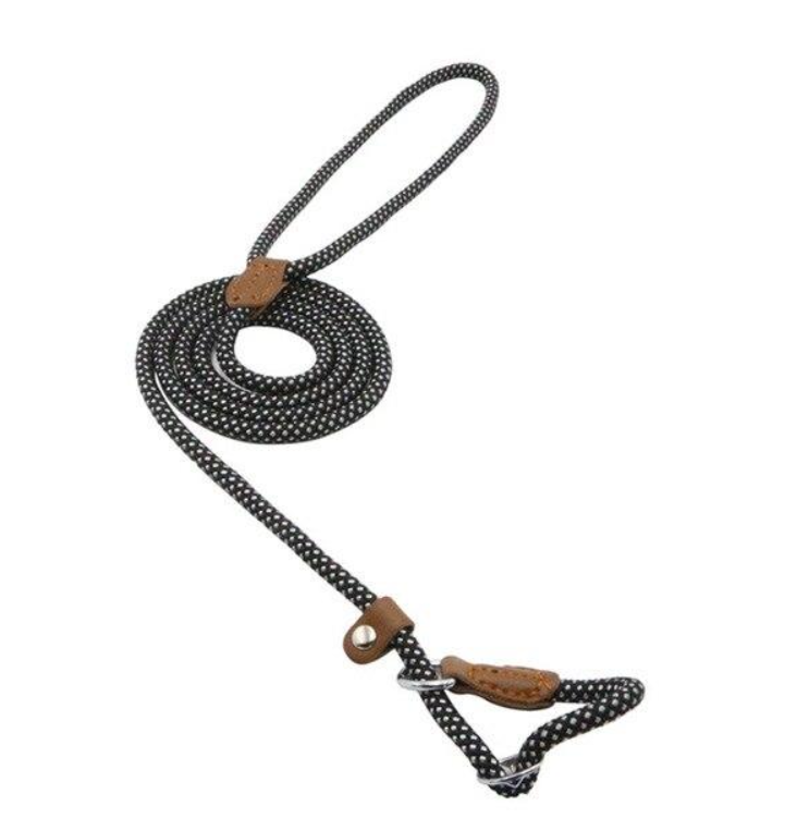 Nylon Pup Set β Premium Dog Collar & Leash | Reinforced Stitching, Soft Adjustable Fit & Modern Style