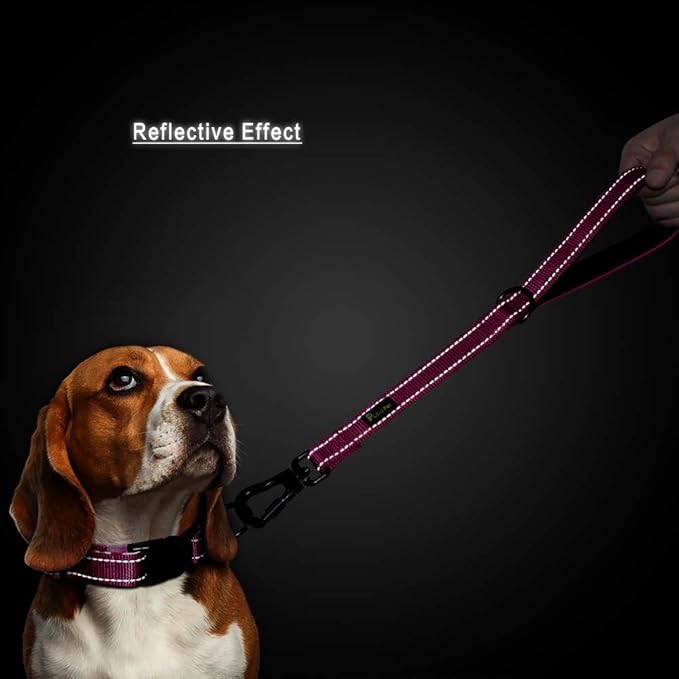 PLUTUS PET Short Training Dog Leash with Padded Handle for Medium Large Big Dogs,18 Inch Heavy Duty Strong Traffic Leash with Carabiner Clip for Climbing Walking or Guiding Blind(18”,Pink
