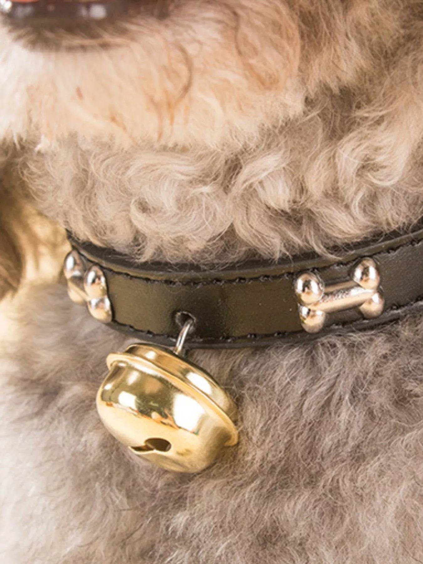 Leather Pet Collar with Bell