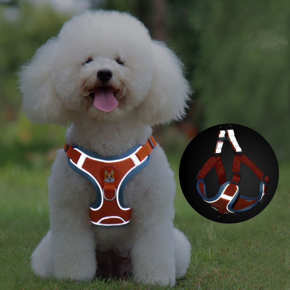 No Pull Harness and Leash set For Small Dogs