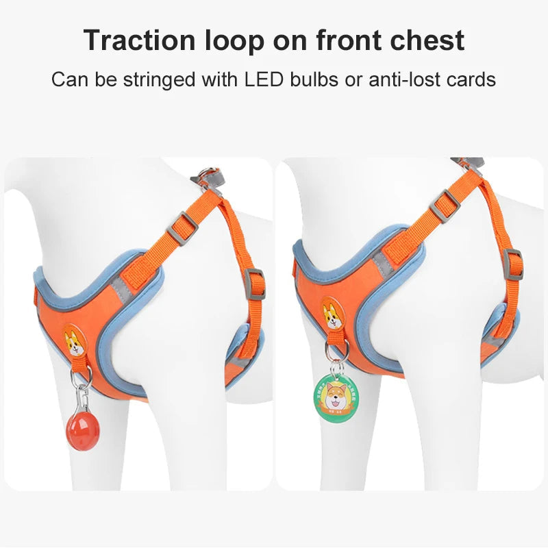 No Pull Harness and Leash set For Small Dogs