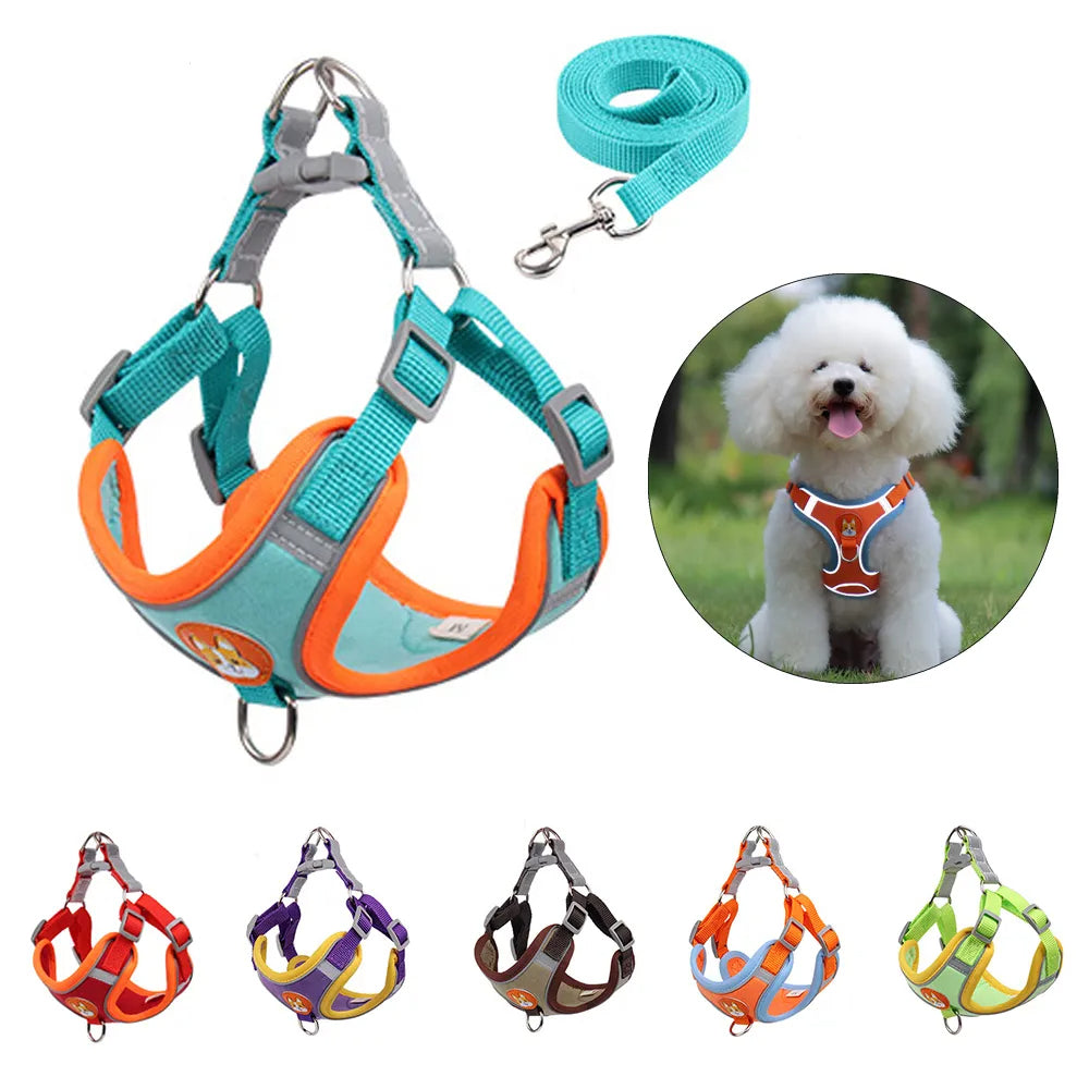 No Pull Harness and Leash set For Small Dogs