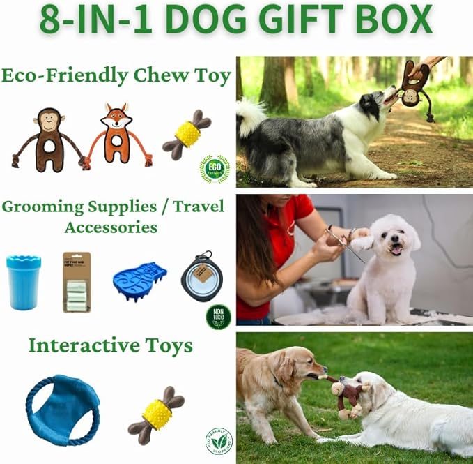 Durable Dog Chew Toys Gift Box β Eco-Friendly Teething Toys for Aggressive Chewers, Plush & Squeaky Toys, Toothbrush, Ideal Gift Basket for Medium & Large Dogs