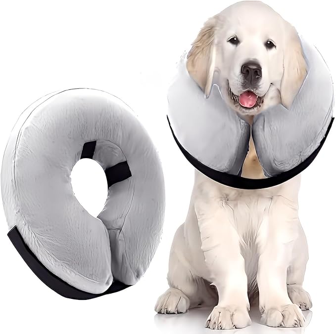Soft Inflatable Dog Cat Cone Collar β Pet Recovery & Protective Dog Neck Collar for Small Dogs Cats to Prevent Scratching, Licking