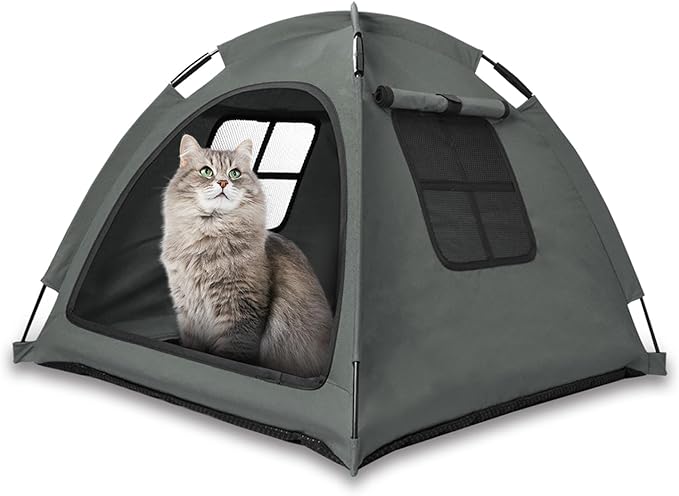 Grey Cat Tent House、Cat&