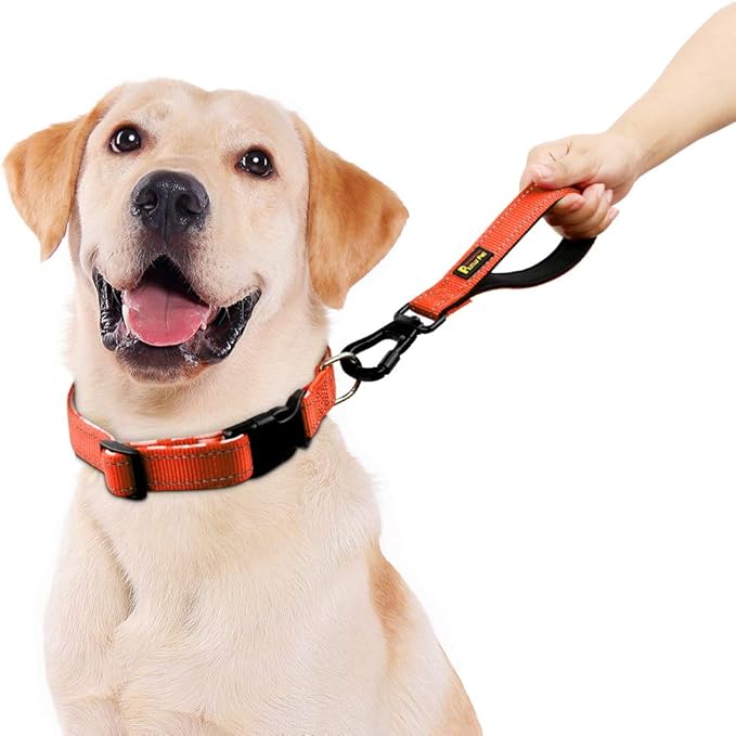 PLUTUS PET 10” Short Dog Leash, Reflective Nylon Padded Handle, Strong Traffic Leash with Carabiner Clip, Perfect for Large or Medium Dogs(10”,Orange