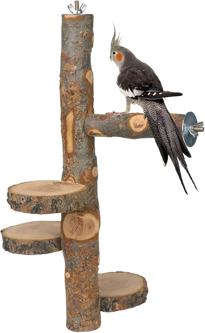YKD Chinchilla Large Hanging Wooden Rotating Platform - Small Animals Natural Fruit Wood Standing Platform - Squirrel Suger Glider Platform - Bird Perch Platform