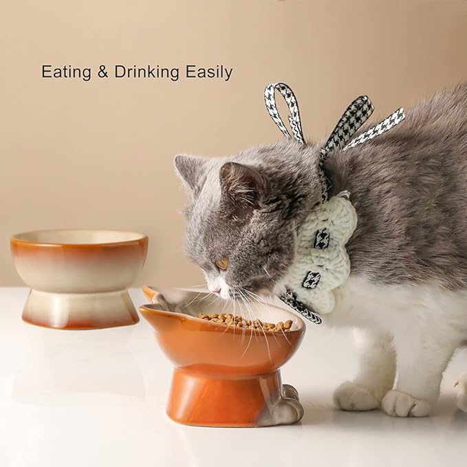 Nihow Elevated Cat/Dog Bowls Set : 5 Inch Ceramic Raised Cat Food & Water Bowl Set for Protecting Pet&