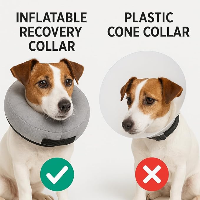 Soft Inflatable Dog Cat Cone Collar β Pet Recovery & Protective Dog Neck Collar for Small Dogs Cats to Prevent Scratching, Licking