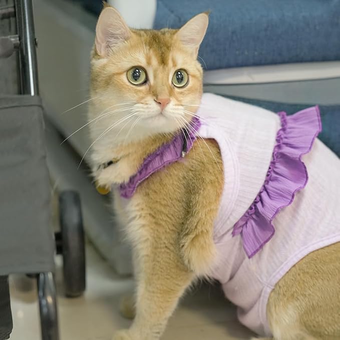 Cat Recovery Suit,Kitten Onesie After Surgery,E-Collar Alternative for Abdominal Wound and Skin Diseases,Soft Breathable Bodysuit After Spay(Purple-s)
