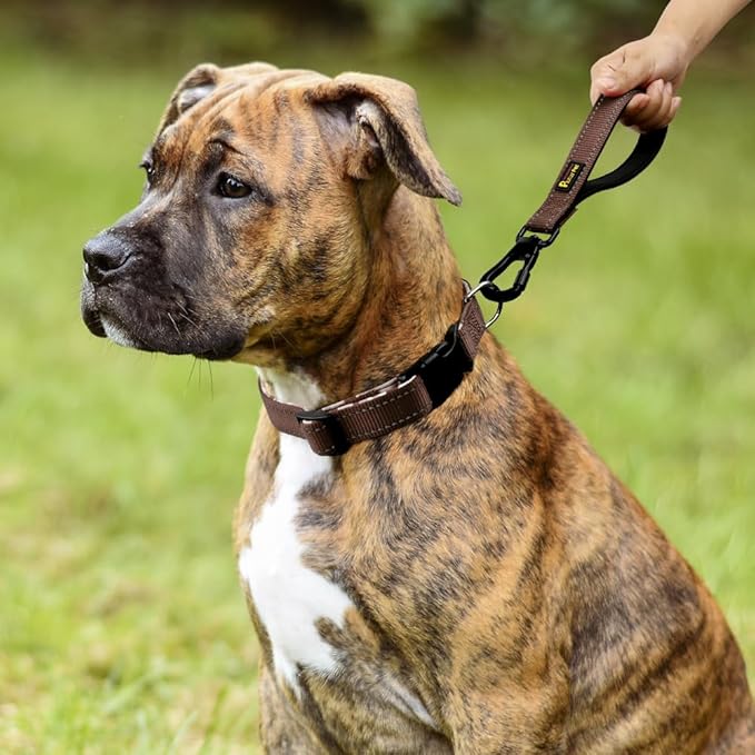 PLUTUS PET Short Training Dog Leash with Padded Handle for Medium Large Dogs,18 Inch Heavy Duty Strong Traffic Leash with Carabiner Clip for Climbing Walking or Guiding Blind(18”,Chocolate)