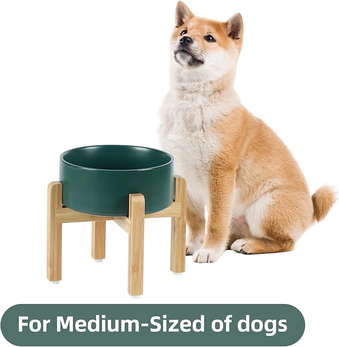 Ceramic Elevated Dog Bowl Set, Food and Water Bowl for Medium Dogs, Weighted Dishes, Green (7.3&