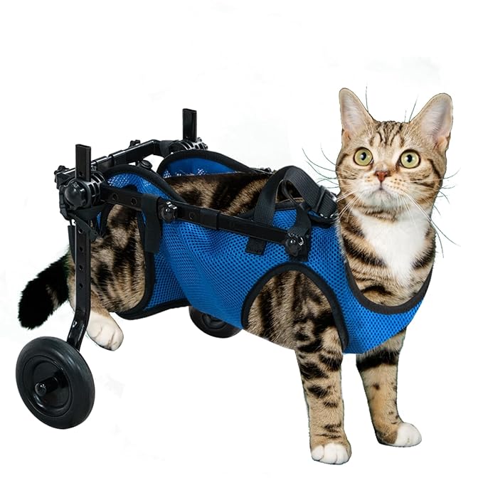 Pet Wheelchair Dog Leg Brace and Hip Support, Wheelchair for Back Legs,Adjustable Pet Cart,Assist a paralyzed pet get Back on its feet,Support Leg Brace and Hip (Extra Small)