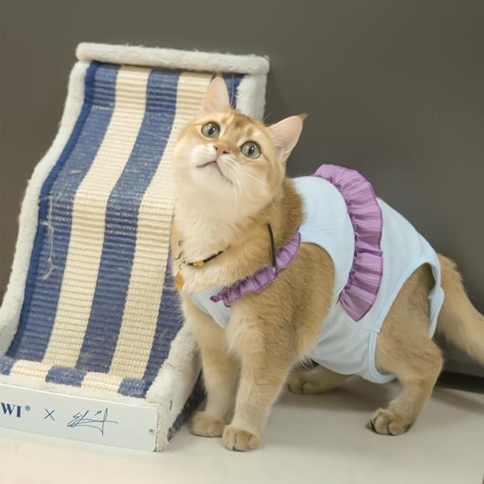 Cat Recovery Suit,Kitten Onesie After Surgery,E-Collar Alternative for Abdominal Wound and Skin Diseases,Soft Breathable Bodysuit After Spay(Blue-l)