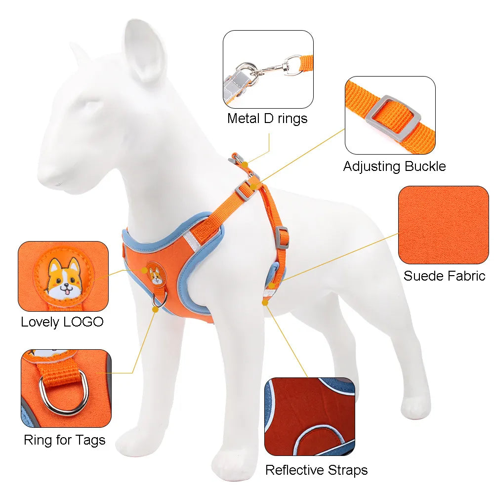 No Pull Harness and Leash set For Small Dogs