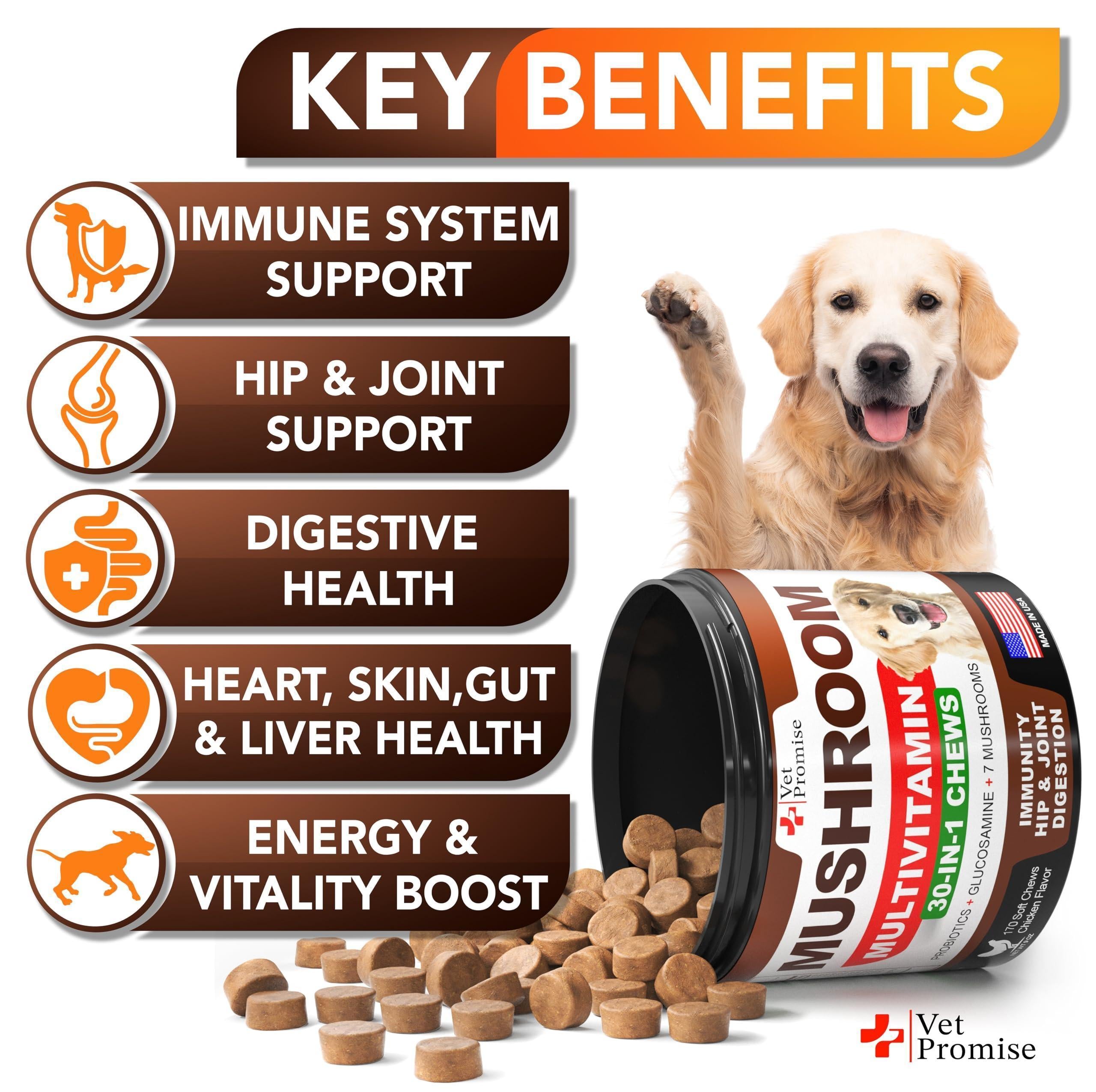 Mushroom Chews for Dogs 340 Count 2-Pack Turkey Tail Lion&