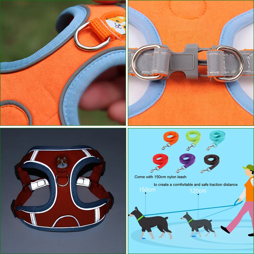 No Pull Harness and Leash set For Small Dogs