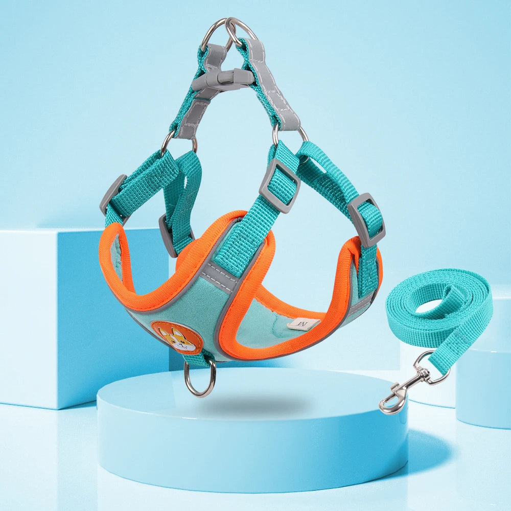 No Pull Harness and Leash set For Small Dogs