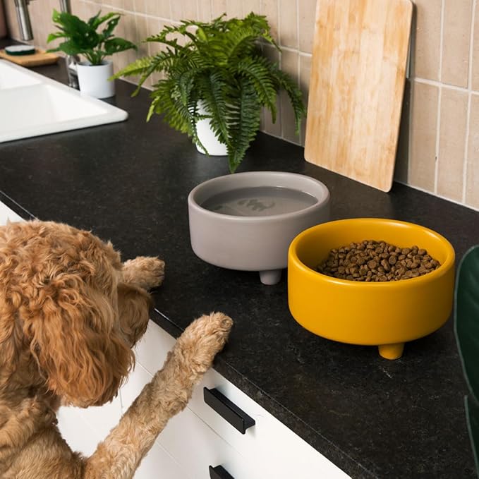 Waggo Uplift Ceramic Dog Bowl for Small Medium and Large Breeds - Heavyweight and Durable Pet Food and Water Dish Crock, Dishwasher Safe, Modern, Elevated Feeder (Vintage Grey, Medium)