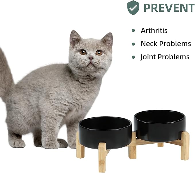 Ceramic Raised Double Bowls Set with Stand, 2 Heights Elevated, Food & Water Bowls for Small Breed Dogs, Cats, Kitty, Weighted Dog Dishes, Pet Bowls(5.1&