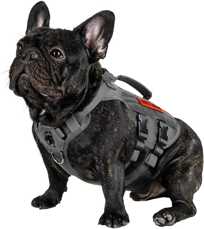 OneTigris Tactical Dog Harness for Small Dogs, No Pull Small Dog Vest Harness with Handles Breathable Military Dogs Molle Vests, Harness for Walking Hiking Training (Grey, XS)