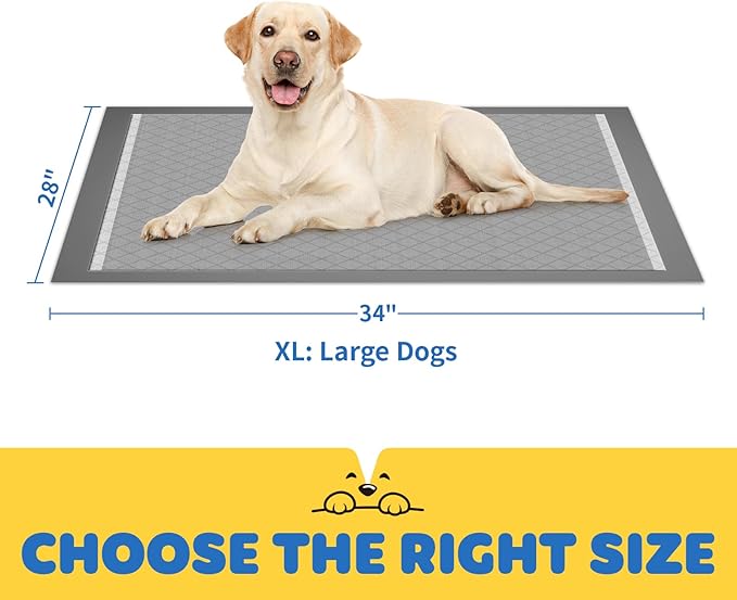 100-Pack X-Large Puppy Pads - 34&