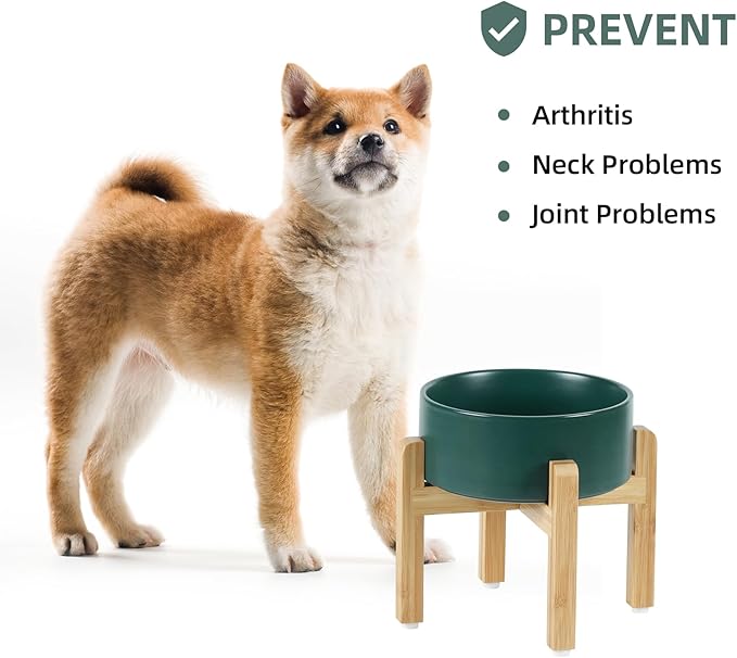 Ceramic Elevated Dog Bowl Set, Food and Water Bowl for Medium Dogs, Weighted Dishes, Green (7.3&