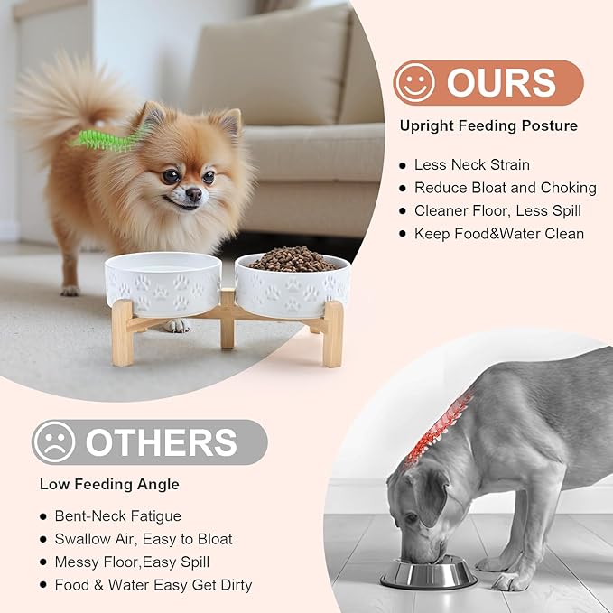 SPUNKYJUNKY Elevated Dog Bowls Ceramic, 5.1&