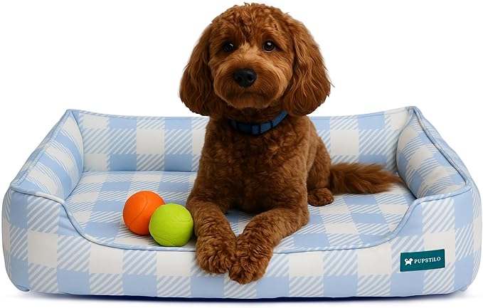 Orthopedic Bolster Dog Bed β CertiPUR-US Foam, Recycled Polyester Canvas, Washable Cover, Anti-Slip Bottom, Large, Light Blue Check β Stylish Designer Dog Sofa