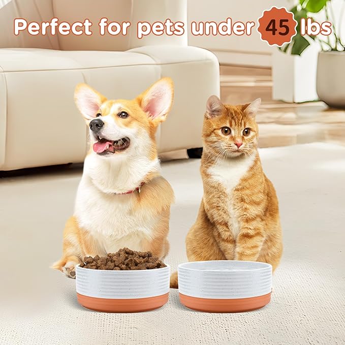 SPUNKYJUNKY Ceramic Dog and Cat Bowls 2 Pack, 6.1&