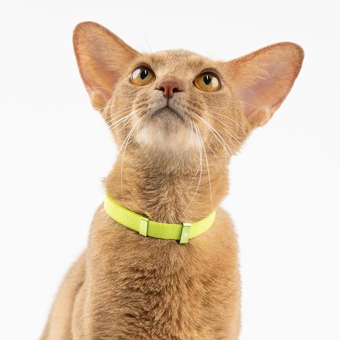 Safety Cat Collar - U.S. IDA Gold Awarding Design, Stretch Elastic Quick Release, Non Breakaway - Light Weight for Kitten, Neck Fit 5.9&