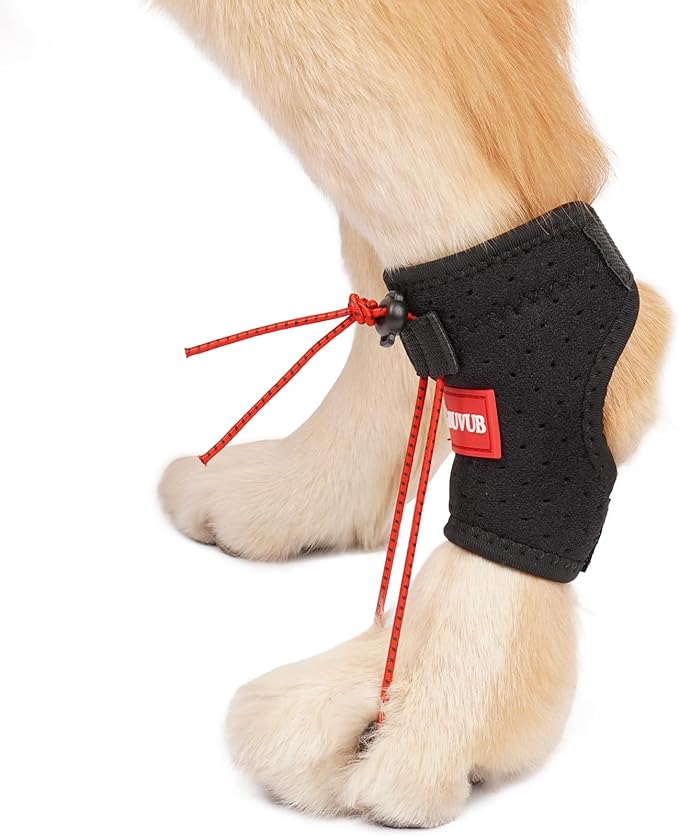 Dog Canine Knuckling Brace Front Paw Rear Leg Dog Foot Brace Wrap for Toe Dragging Cause by Sciatic Nerve Insufficiency, Myelopathy, Herniated Disc(XLarge,Pair Pack)