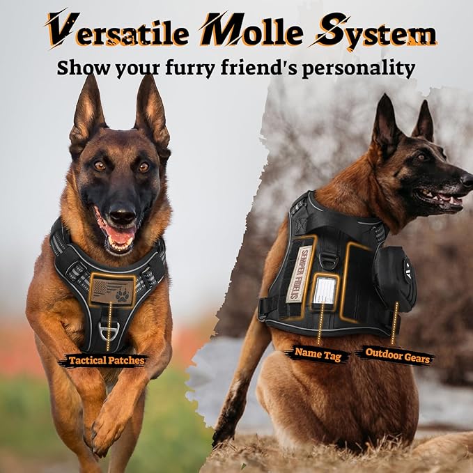 rabbitgoo Dog Harness Small Sized No Pull, Tactical Service Pet Vest with Molle and Control Handle, Adjustable and Reflective Military Harness for Easy Walking and Training, Black, S
