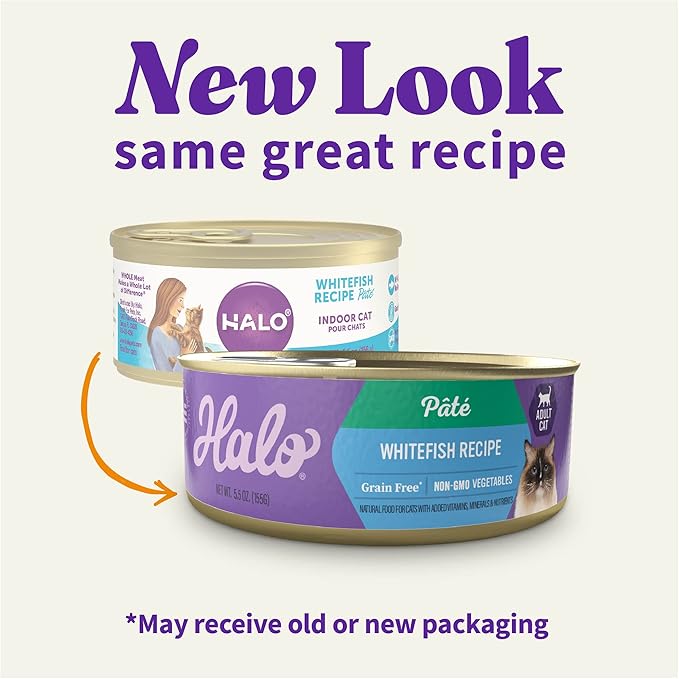 Halo Wet Cat Food Whitefish Recipe, Grain Free Wet Cat Pate, Canned Cat Food for Extra Hydration, 5.5 Oz Can (Pack of 12)