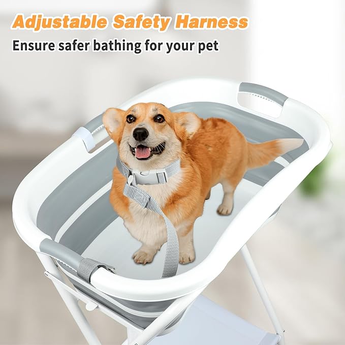 BWOGUE 2 in 1 Portable Dog Bath Tub Elevated Collapsible Dog Bathtub Washing Station with Drainage Hole for Bathing, Shower and Grooming, Pet Tub for Puppy Small Medium Dogs Indoor and Outdoor