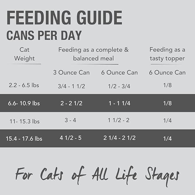 Feline Natural New Zealand Canned Catfood Wet Food, High-Meat, Low-Carb, & Grain Free Cat Food Wet, Lamb Feast, 6 oz, Pack of 12