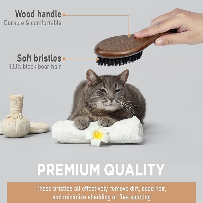 Takavu Boar Bristle Cat Hair Brush, Gentle Grooming Brush with Natural Bristles and Wooden Handle for Sensitive Skin, Pet Cleaning Supplies Keeping Your Cat&
