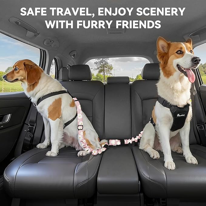 Pawaboo 2Pack Dog Seatbelt for Car, 3-in-1 Dog Car Seat Belt Bungee, Dogs Tether for Cars with Buckle & Hook Latch, Adjustable Reflective Dogs Cars Harness Leash with 360° Lockable Buckle, Light Pink