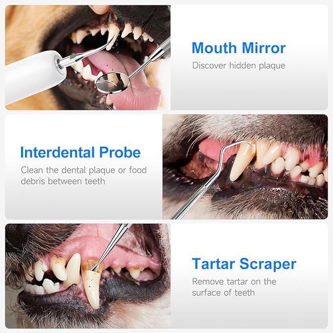 Electric Dog Plaque & Tartar Remover - Pet Teeth Cleaning Kit with LED Light, 5 Adjustable Modes, Safe and Low Noise β Easy Home Dental Care for Dogs and Cats