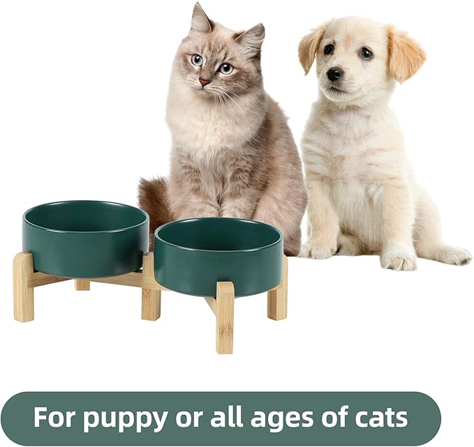 Ceramic Raised Double Bowls Set with Stand, 2 Heights Elevated, Food & Water Bowls for Small Breed Dogs, Cats, Kitty, Weighted Dog Dishes, Pet Bowls(5.1&