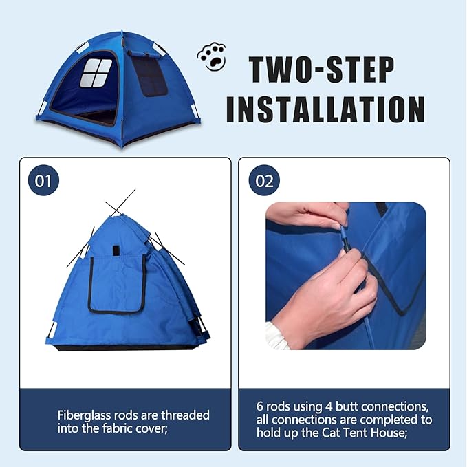 Blue Cat Tent House、Cat&